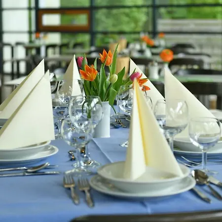 Otel Cjd Godesberg